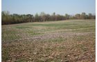 Property photo 5 - 641 Acres Offered in 16 Tracts - 545 Cropland Acres